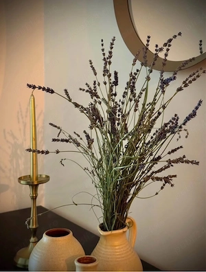 Apartament 3 camere, bloc nou, zonă Capitol   (direct de la proprietar) - imagine 2