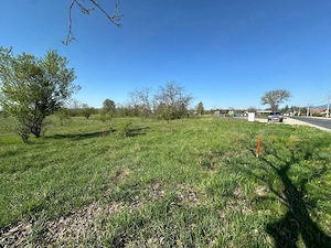 INVESTIȚIE- Teren 6146mp + Spalatorie self wash doua boxe . - imagine 2