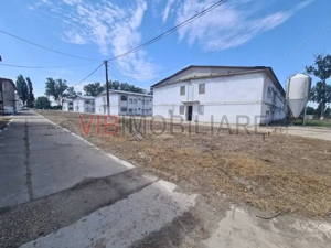 *Proprietate industrială | Fermă avicolă | Teren 35.000 mp | Hale și utilități existente - imagine 4