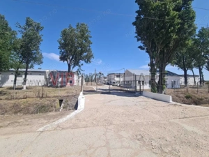 *Proprietate industrială | Fermă avicolă | Teren 35.000 mp | Hale și utilități existente - imagine 3