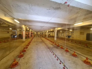*Proprietate industrială | Fermă avicolă | Teren 35.000 mp | Hale și utilități existente - imagine 9