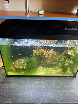 Acvariu Classica 64l - imagine 2