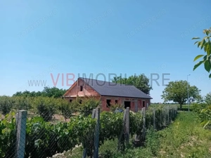 Teren intravilan 16.000 mp | Livadă mixtă | Front stradal 85 ml | Utilități complete