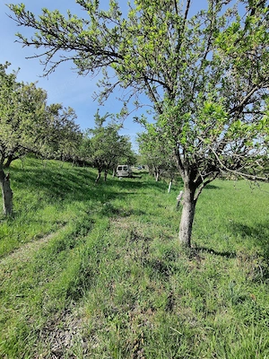 Teren Doja Rimler Karoly 584 m2 - imagine 10