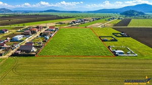 FILM! 700 mp teren intravilan, recomandat constructie casa  investitie, Cristian, Brasov - imagine 2