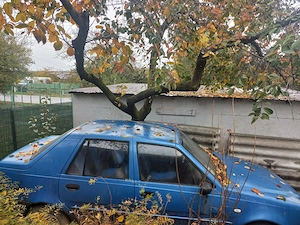 Vand solenza an 2005 ,motor functional,pot da si fiscal - imagine 2