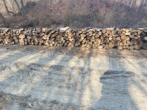 vand lemne de foc  - imagine 2