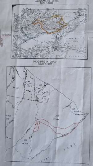 Teren forestier 27,27 ha, Valea Lugojului, Acces facil, 10.000   ha - imagine 4