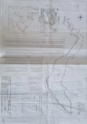 Teren forestier 27,27 ha, Valea Lugojului, Acces facil, 10.000   ha - imagine 3