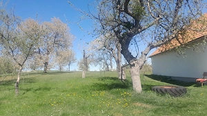 casă de vânzare  - imagine 3