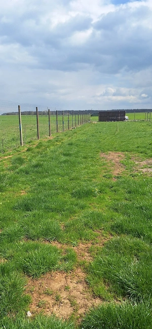 Teren cu cabana Urleta  - imagine 4