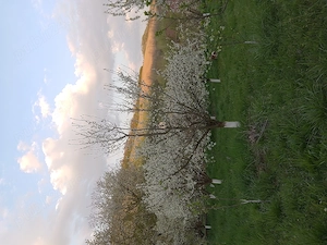 Casa din 2019 cu 4300 mp intravilan, livada bio și vie la 45 min de Cluj  - imagine 9