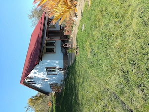 Casa din 2019 cu 4300 mp intravilan, livada bio și vie la 45 min de Cluj  - imagine 10