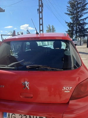 vand pejou - imagine 2