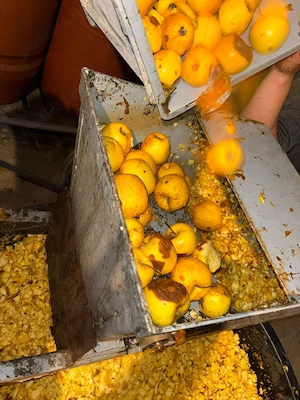 Pălinca de mere  - imagine 3