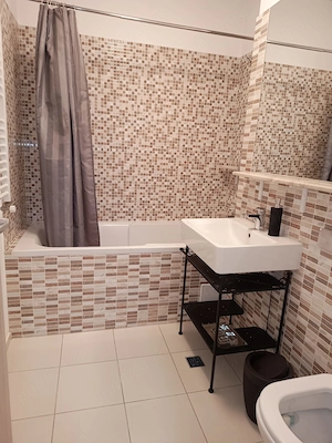 Brancoveanu-  centrala termica, la 10 minute de metrou, langa parc Tineretului - imagine 5