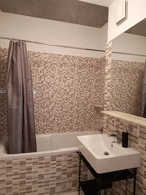 Brancoveanu-  centrala termica, la 10 minute de metrou, langa parc Tineretului - imagine 4