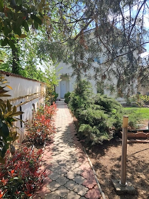 Particular Inchiriez Vila Individuala Rosu Chiajna - imagine 4