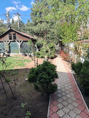 Particular Inchiriez Vila Individuala Rosu Chiajna - imagine 3