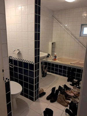 Particular Inchiriez Vila Individuala Rosu Chiajna - imagine 10