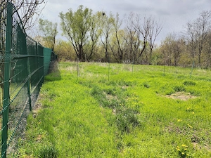 626 mp, rau, padure, utilitati - imagine 10