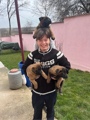 ciobanesti belgieni - malinois  - imagine 5