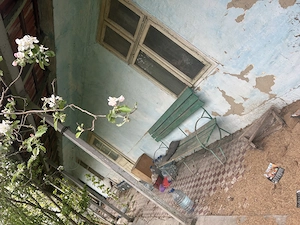 Casa veche cu teren - imagine 4