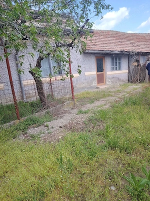 Casa la Tara de vanzare, sat Greci, comuna Osica de Sus, Olt - imagine 2