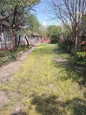 Casa la Tara de vanzare, sat Greci, comuna Osica de Sus, Olt - imagine 3