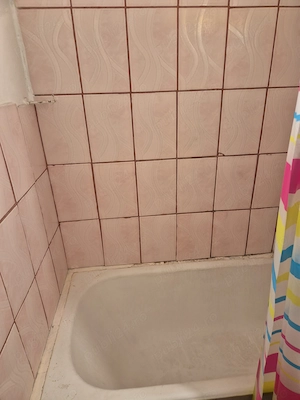 iInchiriere Ap. 1 cam. Zona Centrala - imagine 6