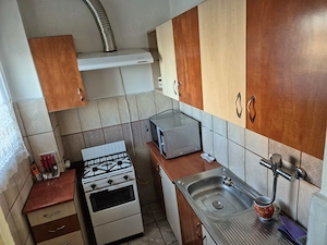 iInchiriere Ap. 1 cam. Zona Centrala - imagine 16