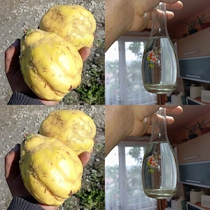 Palinca de Gutui