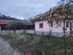 De vinzare teren intravilan +casa locuibila din caramida cu toate utilitatile  - imagine 10