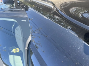 Range Rover Evoque - imagine 2