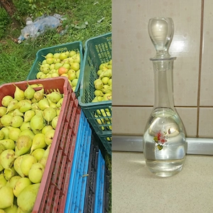 Palinca de Pere