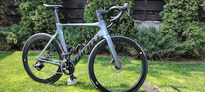 cursiera Giant 