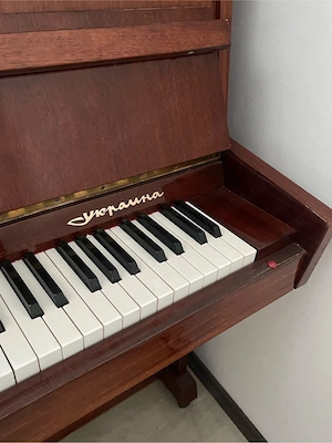 Pianina Cernihiv Ukraina - imagine 2