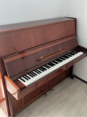 Pianina Cernighiv NAIPLOM