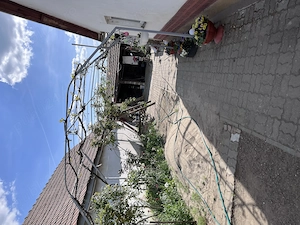 Casa de vanzare Pecica str319 nr 46 - imagine 4