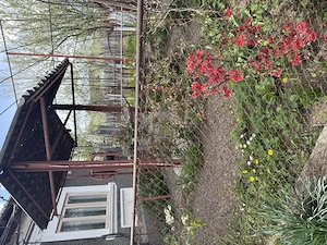 Casă la țară de vânzare  - imagine 3