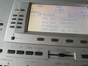 vind orga korg pa 80