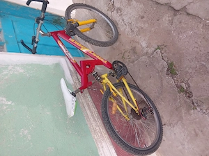 biciclete de vinzare