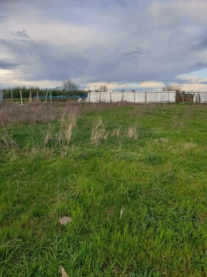 Teren Industrial, Pecica, Arad, acces la drum si utilitat - imagine 4