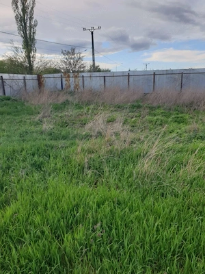 Teren Industrial, Pecica, Arad, acces la drum si utilitat - imagine 3