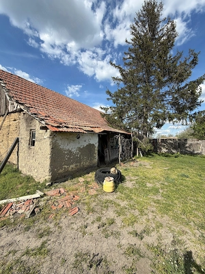 Vand casa in Dorobanti - imagine 5