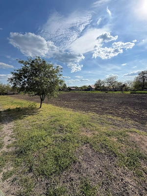 Vand casa in Dorobanti - imagine 6