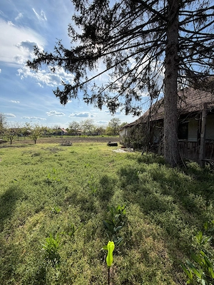 Vand casa in Dorobanti - imagine 7