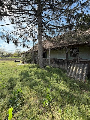 Vand casa in Dorobanti - imagine 10