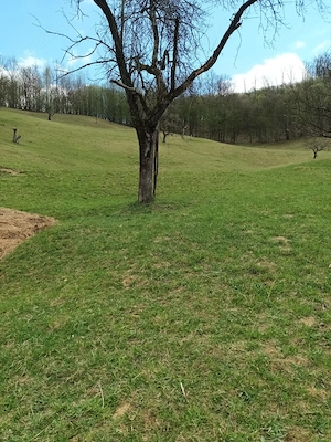 Vând teren 1.42 Ha - imagine 3