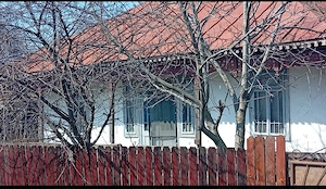 Vand casa batraneasca in Baraganul judetul Braila